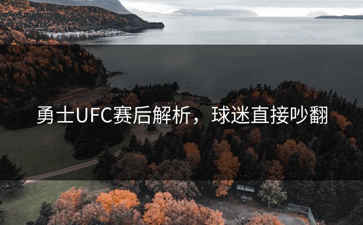 勇士UFC赛后解析，球迷直接吵翻