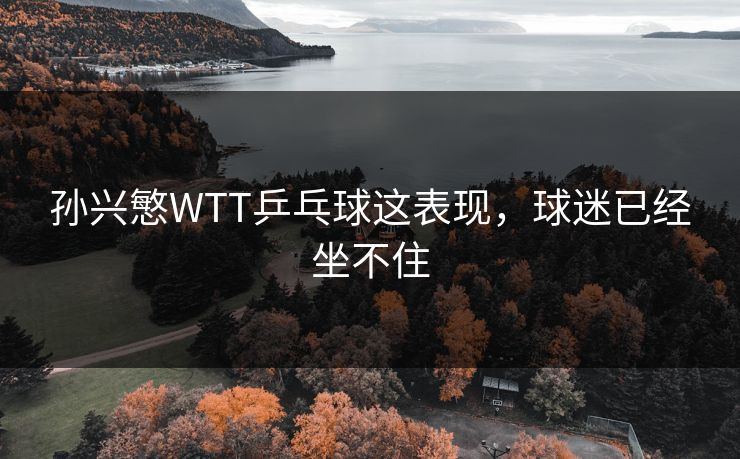 孙兴慜WTT乒乓球这表现，球迷已经坐不住